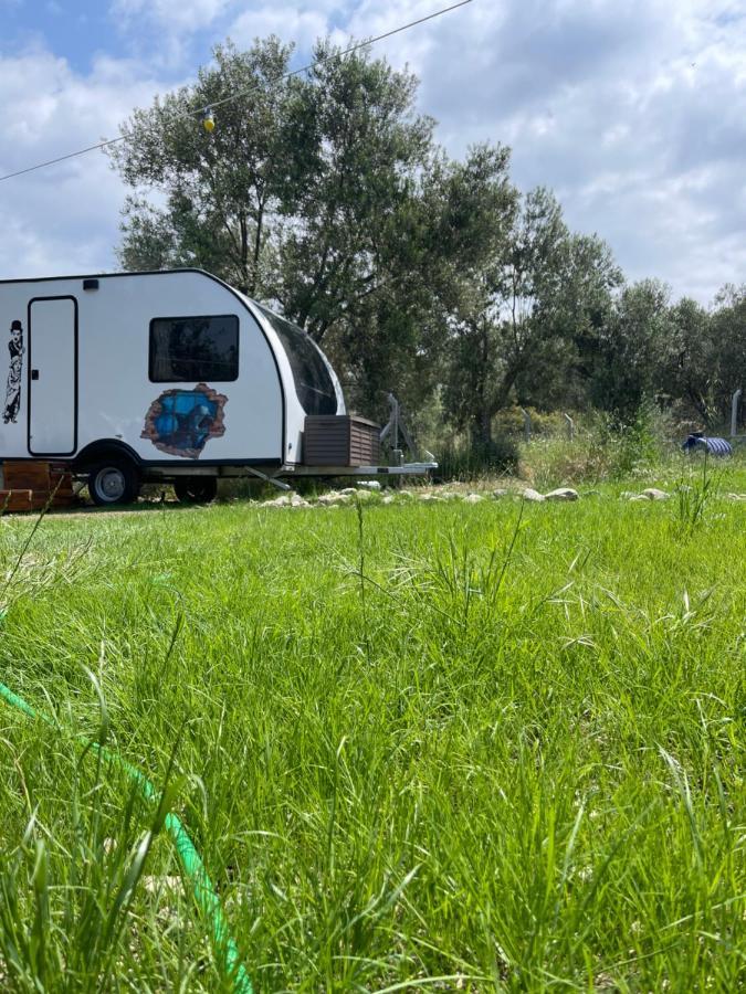 Bademli Caravan Garden Dikili Exterior foto